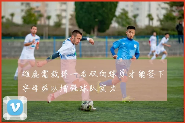 雄鹿需裁掉一名双向球员才能签下字母弟以增强球队实力