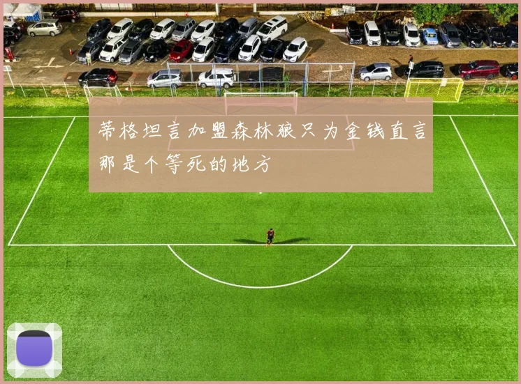 蒂格坦言加盟森林狼只为金钱直言那是个等死的地方